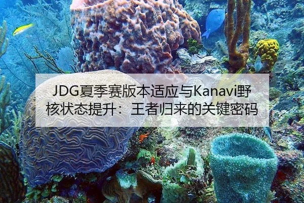 JDG夏季赛版本适应与Kanavi野核状态提升：王者归来的关键密码