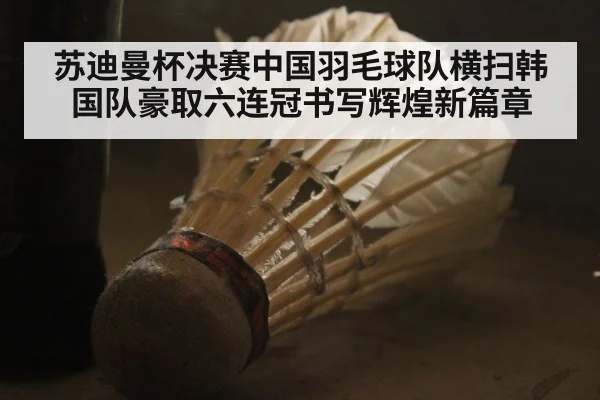 苏迪曼杯决赛中国羽毛球队横扫韩国队豪取六连冠书写辉煌新篇章